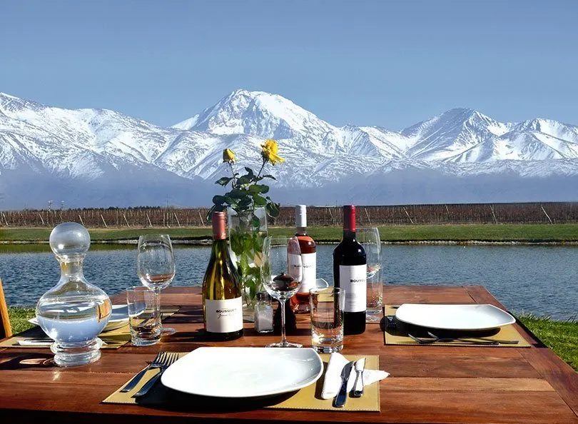 Copa de vino con viñedos y montañas de fondo en Mendoza